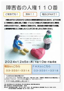 20241205shougai-jinken110chirashi.jpg