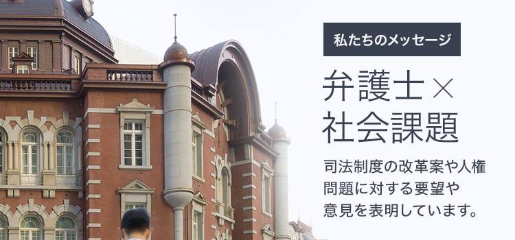 司法制度の改革案や人権問題に対する要望や意見を表明しています。